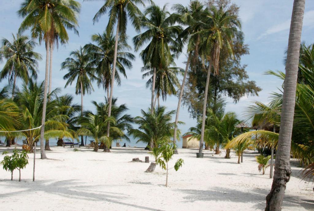 Palm Beach Bungalow Resort Prek Svay Village المظهر الخارجي الصورة